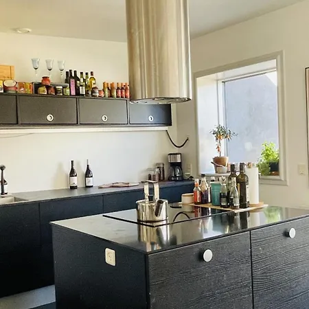 Apartmentincopenhagen 1626 アパート コペンハーゲン